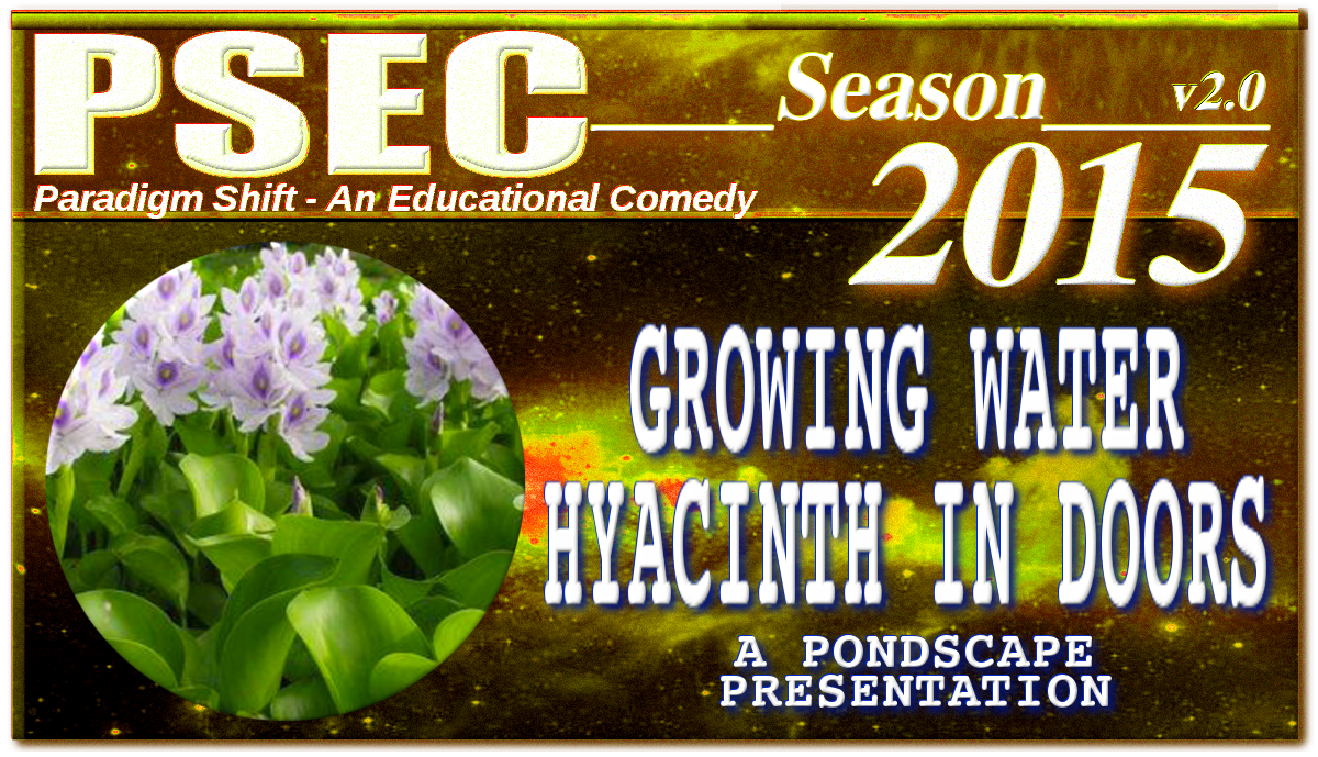 PSEC - 2015 - feat. Pondscape - Growing Water Hyacinth In Doors.png