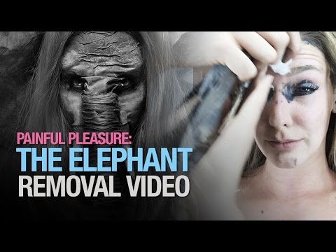 Painful pleasures: the elephant makeup removal