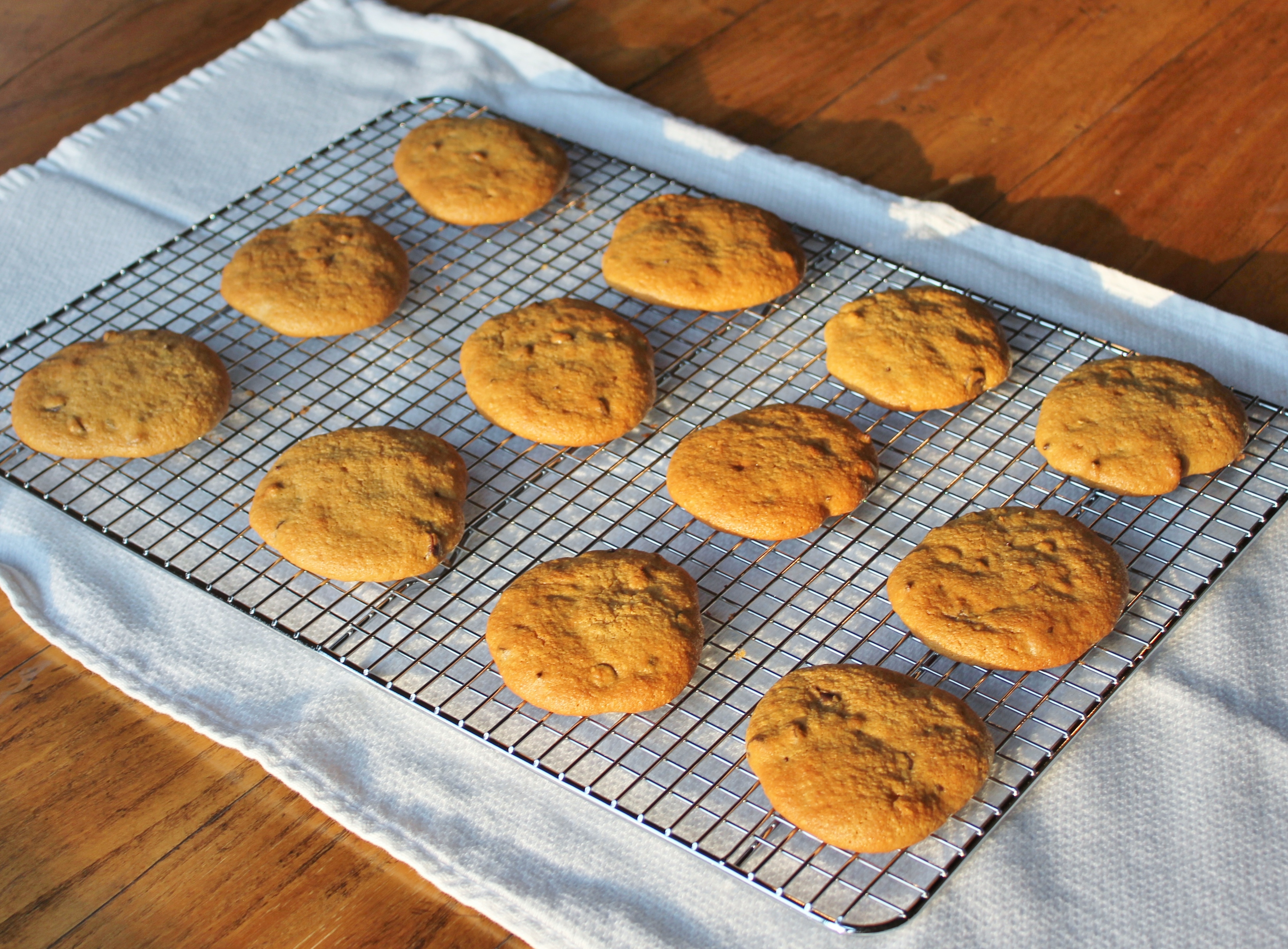 Paleo Choc Chip Cookies (6).JPG