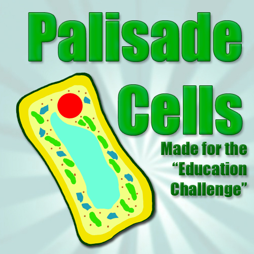 Palisade cells thumbnail.jpg