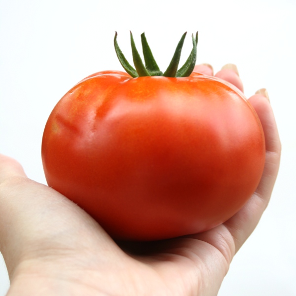 PalmHeldTomatoSmall.JPG