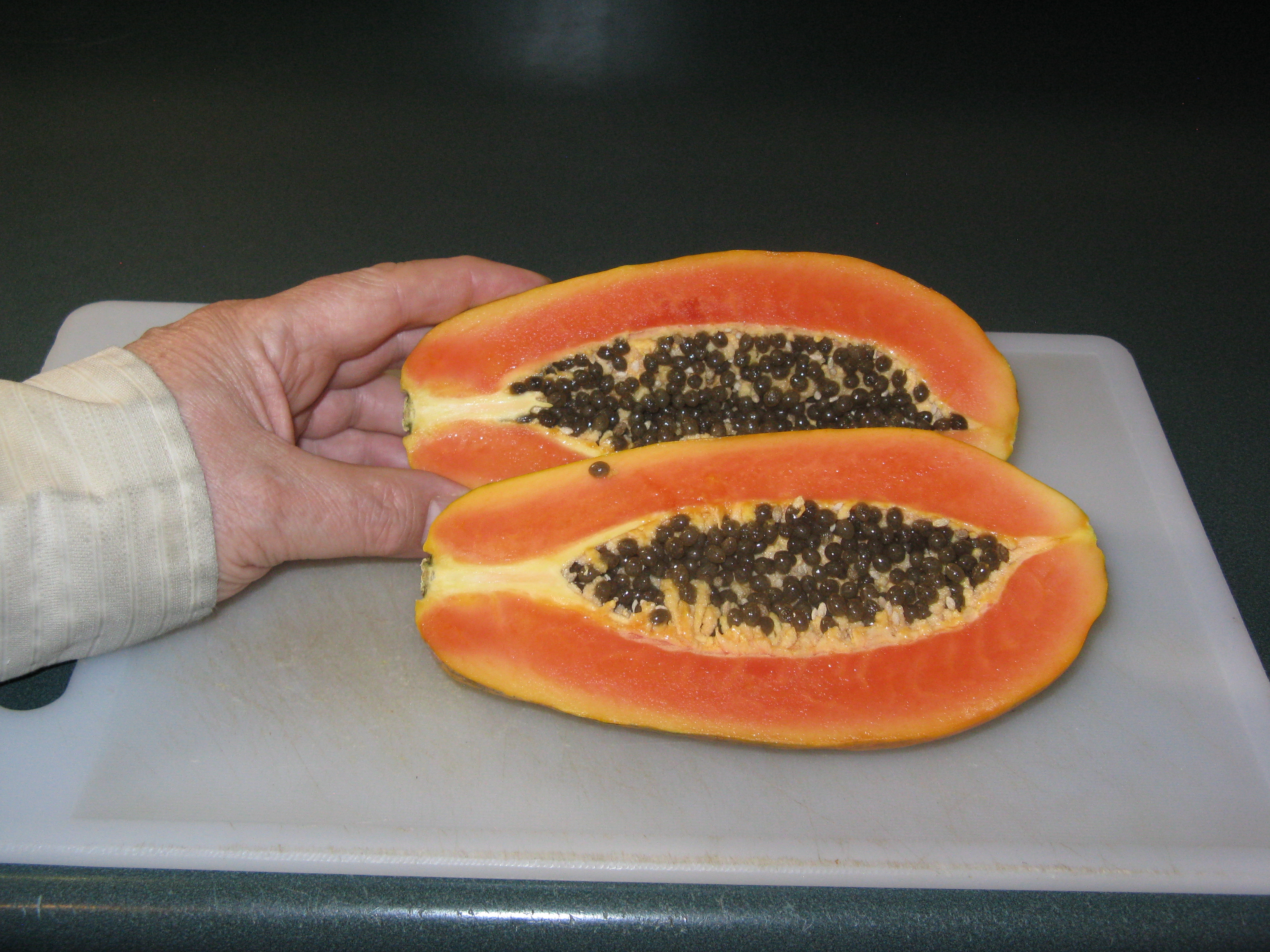 Papaya Bread 5.JPG