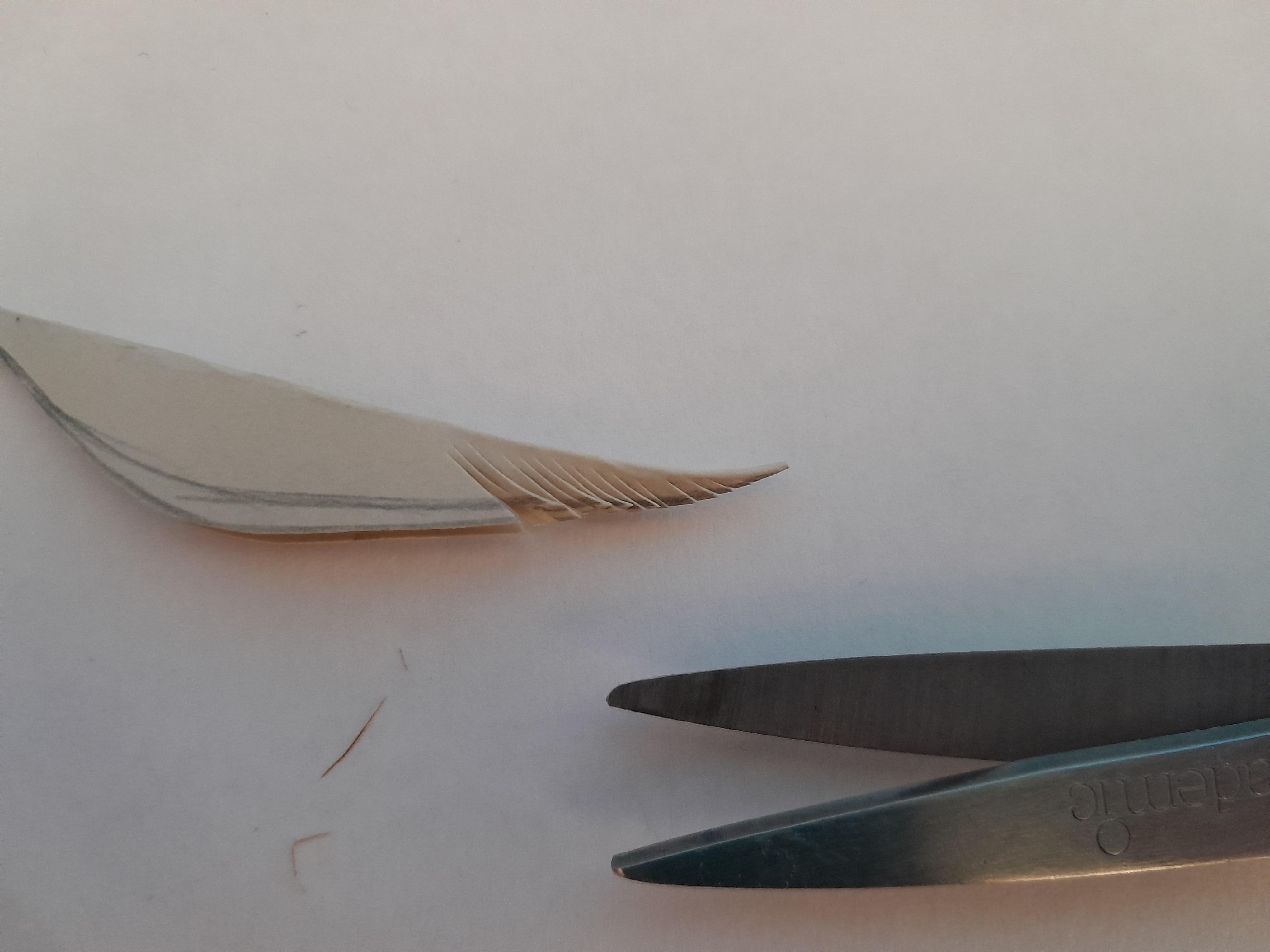 Paper Feathers 009.jpg