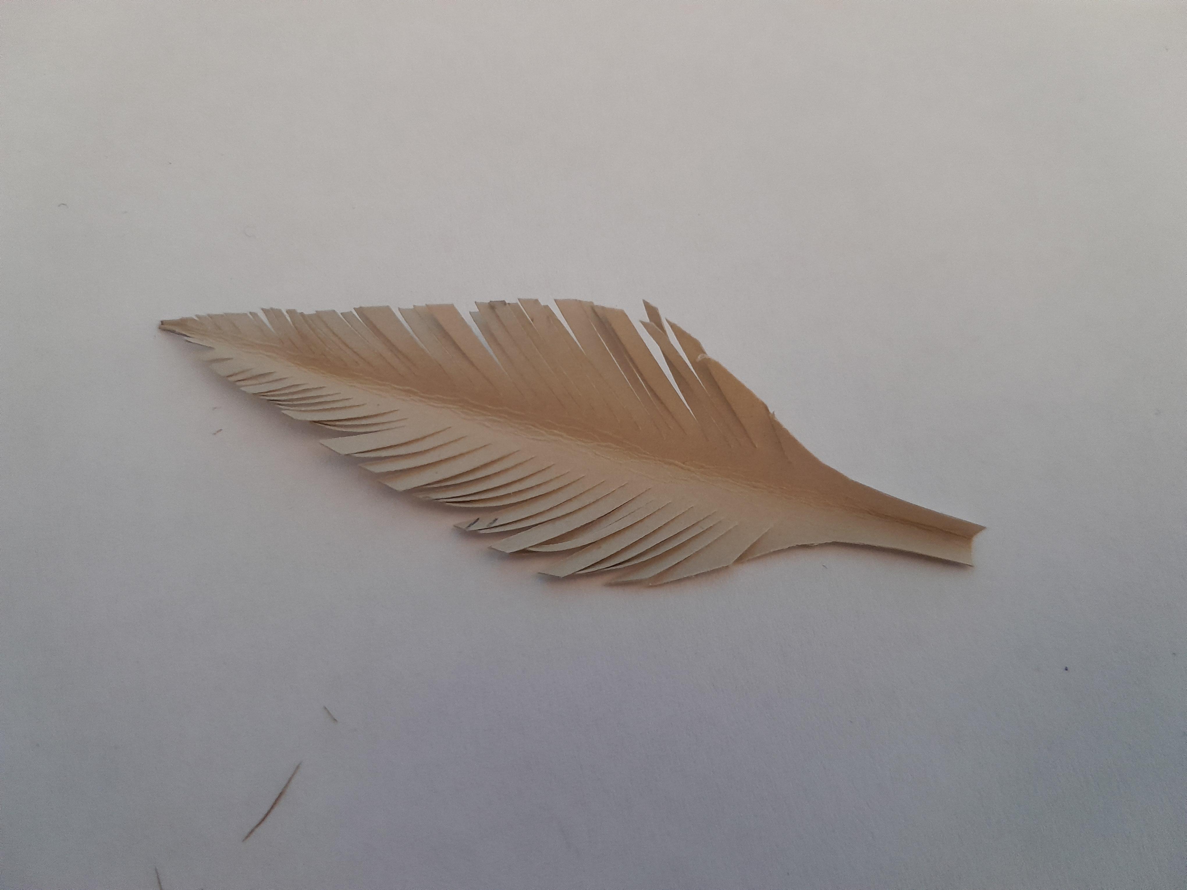 Paper Feathers 011.jpg