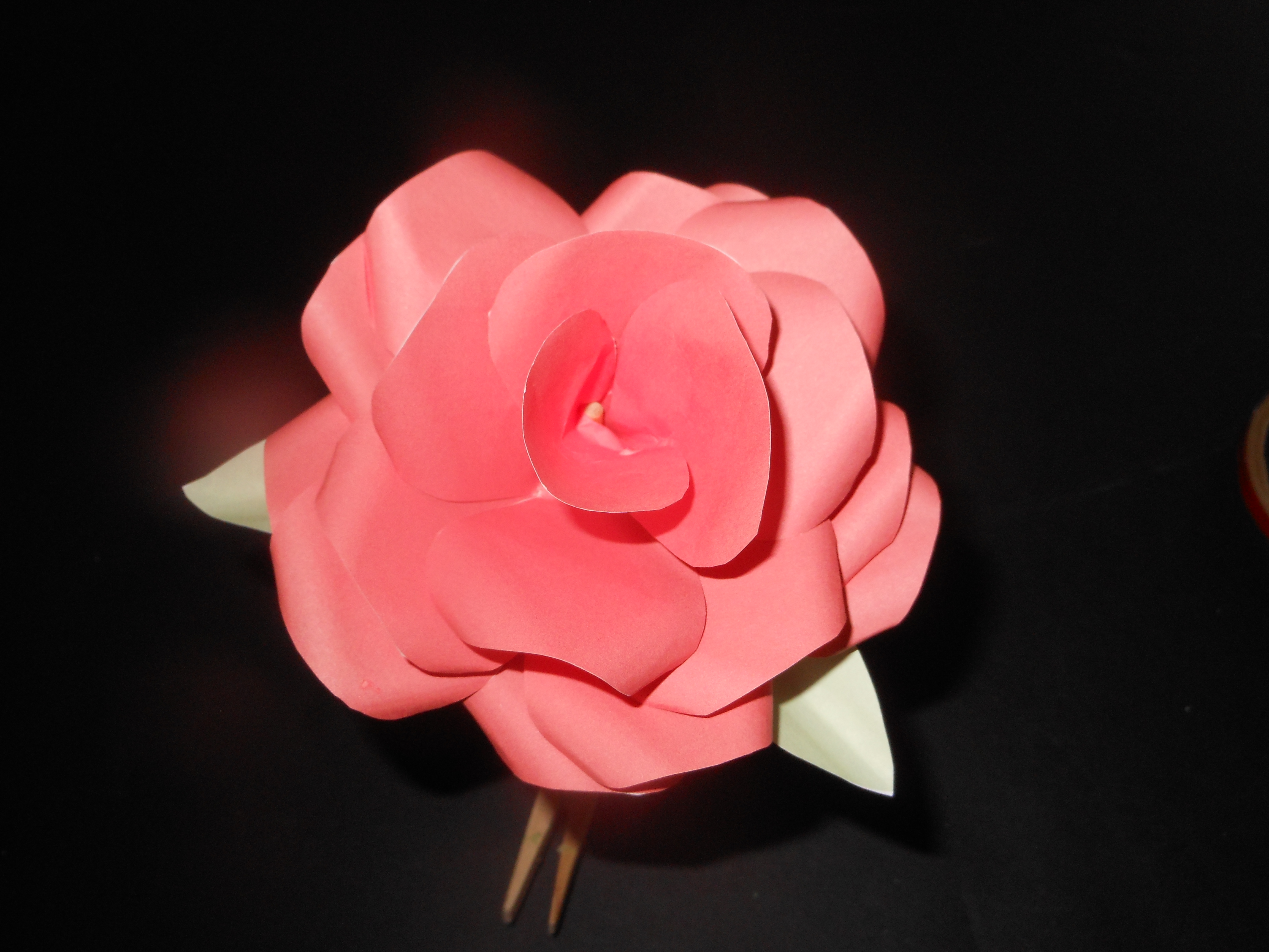 Paper Rose 18.JPG