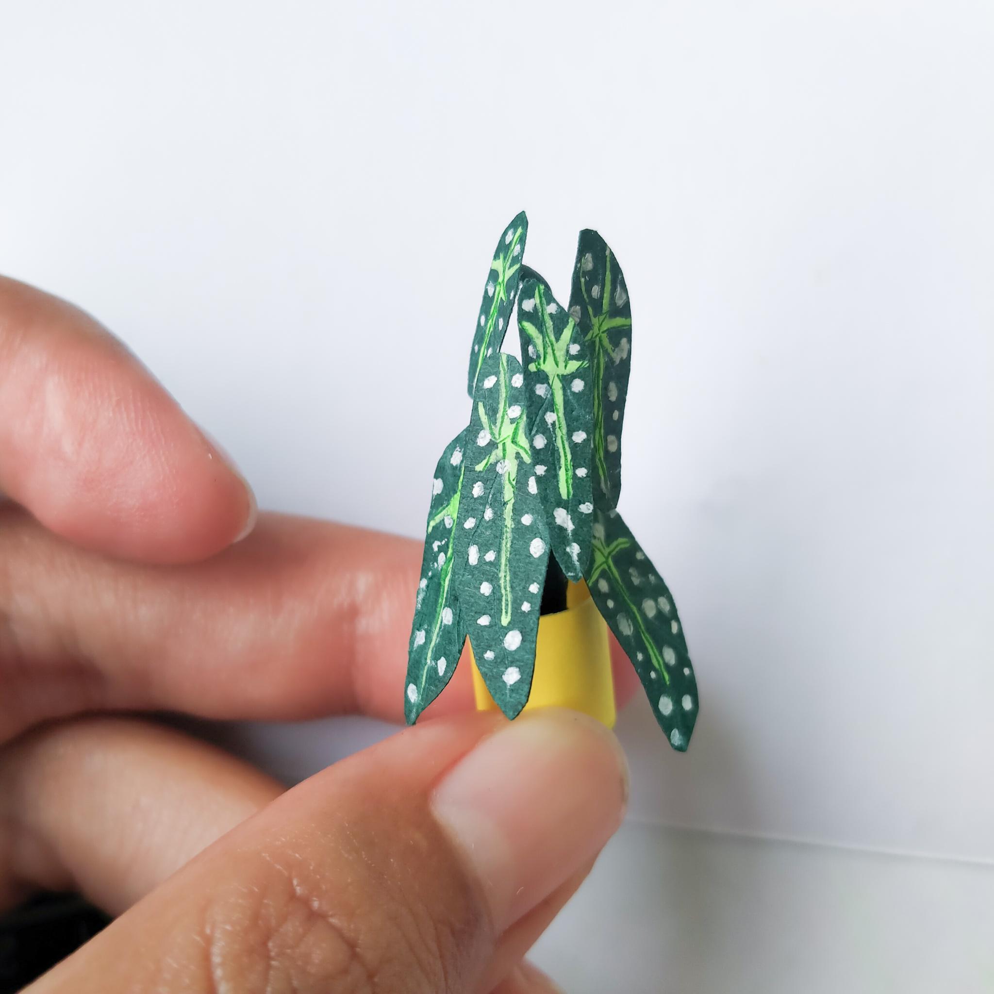 Paper miniature plants  by quinzyvarira  (5)_5.jpg