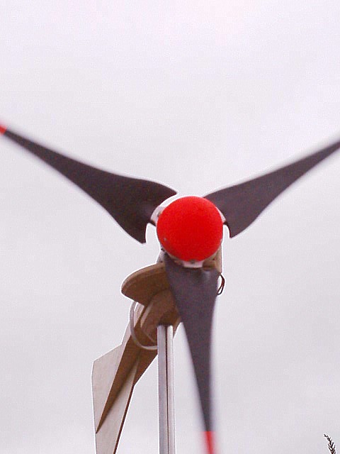 Parabolic Nose - Hub View - closeup.JPG