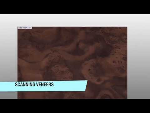 Part 6: How to label a sheet of veneer before scanning it into the computer