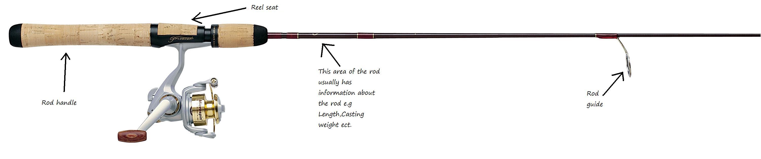 Parts of a rod.jpg