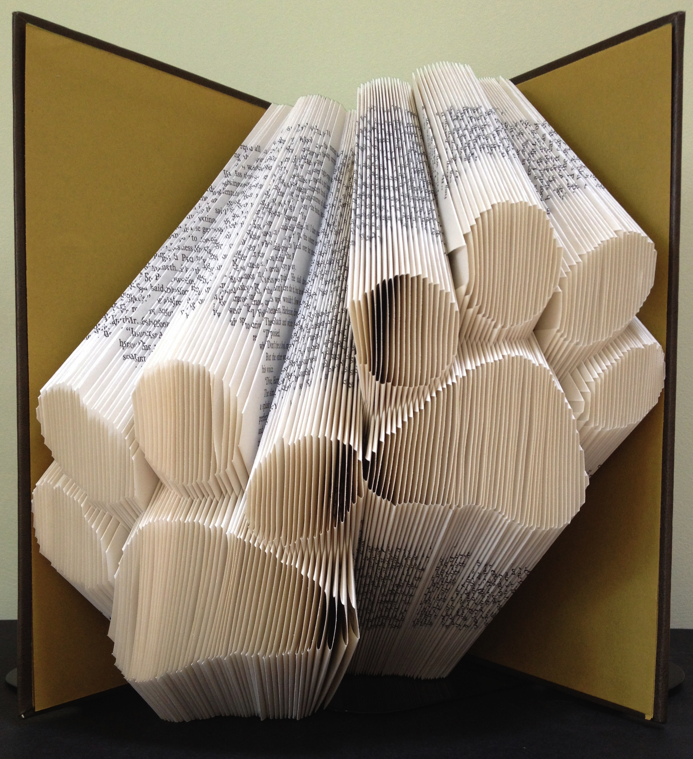 Paw Prints Finished Book.jpg