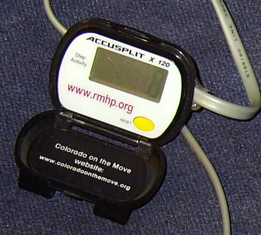 Pedometer.JPG