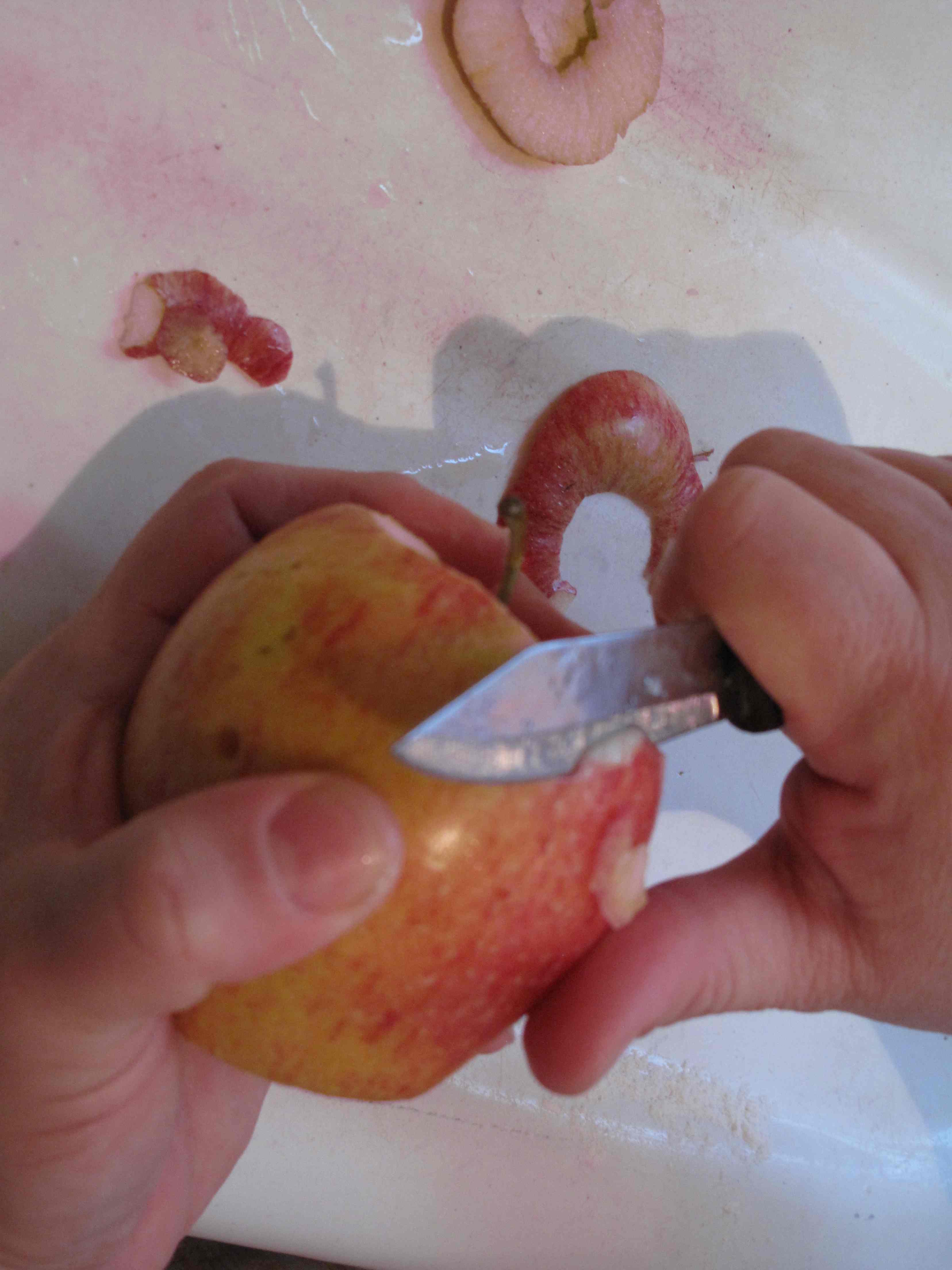 Peel.jpg
