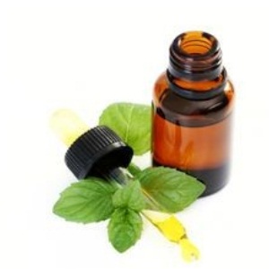 Peppermint-Oil dropper.jpg