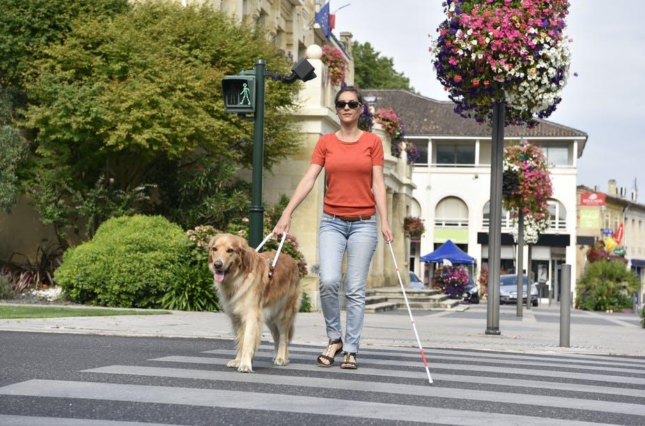 PersonWithCane+Dog.jpg