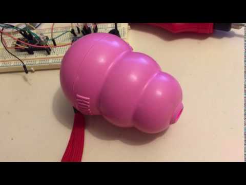 Pet Toy Beeper Test 2