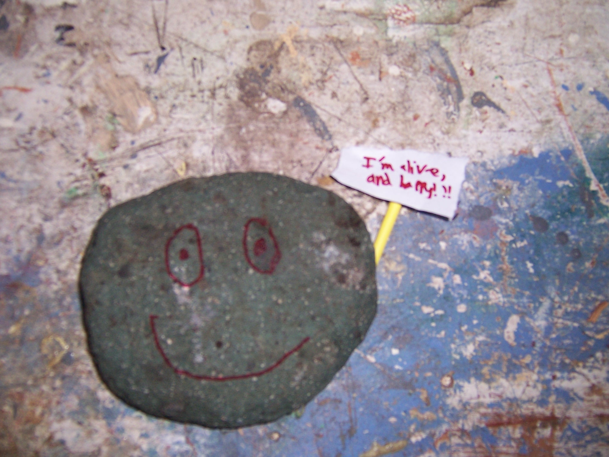 Pet rock 006.JPG