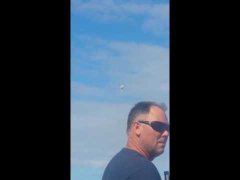 Phantom 2 vision plus bait drop mechanism