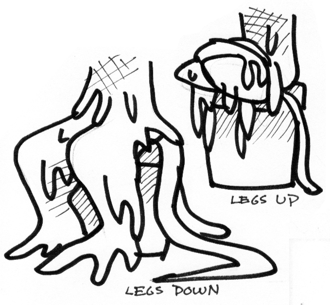 Phase 3 Legs.jpg