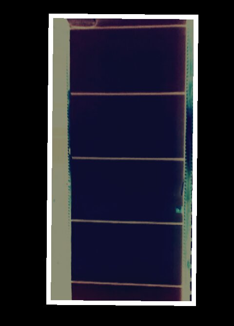 PhotoCollage_-504738647.jpg