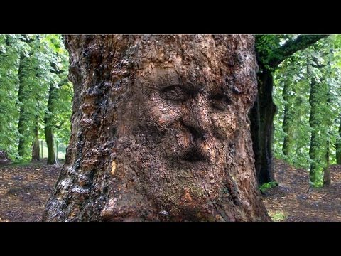 Photoshop: How to Camouflage a Face onto Gnarly, TREE Bark