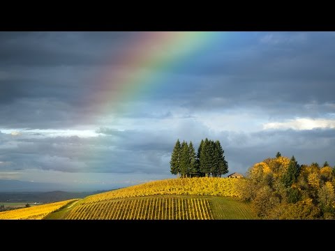 Photoshop: How to Make a Rainbow!