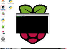 Pi Terminal.PNG