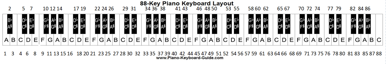 Piano Keys labeled.PNG