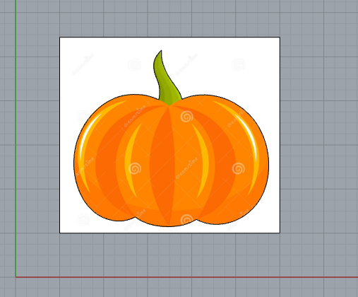 Pic of Pumpkin.PNG