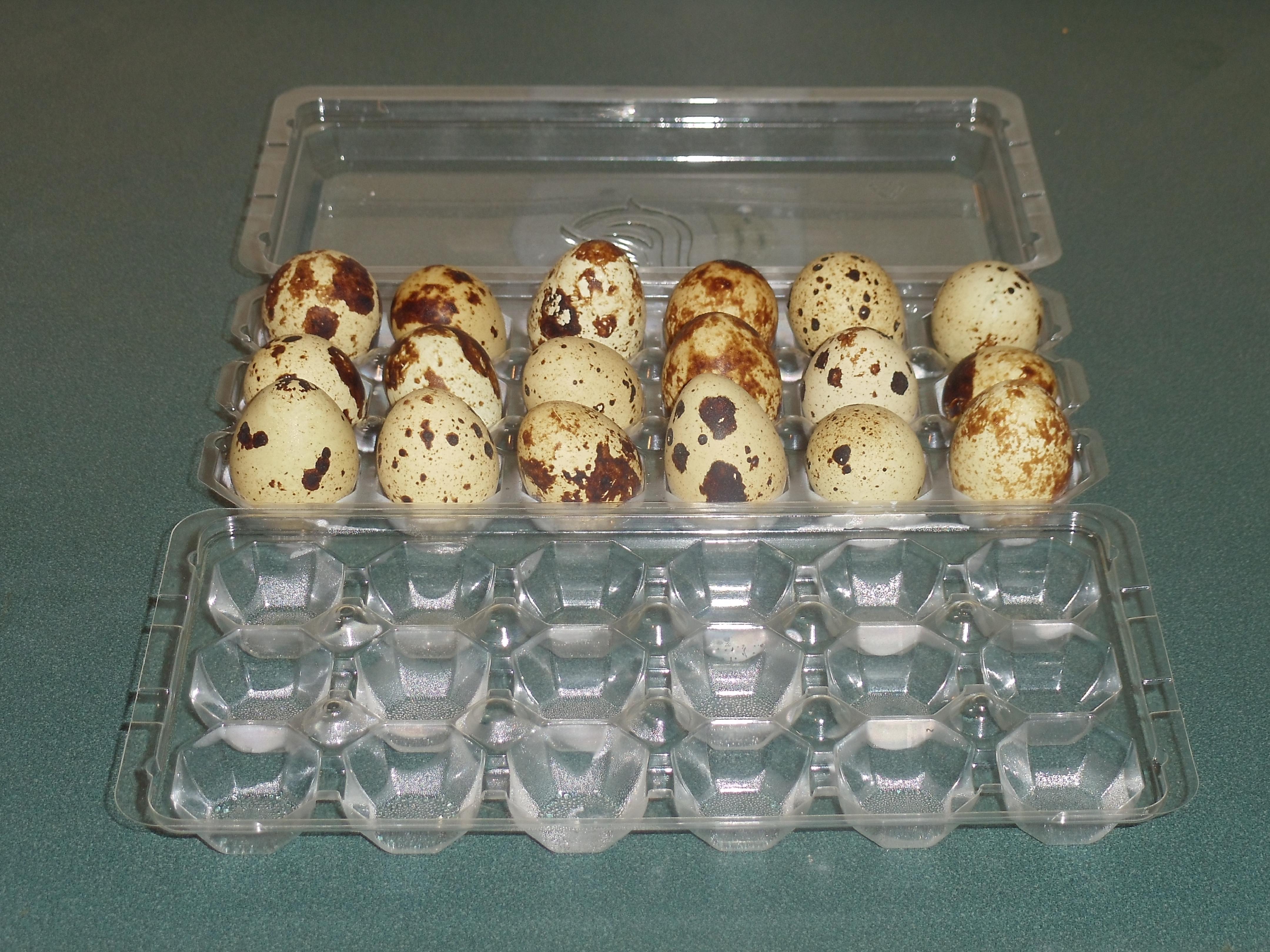 Pickled Quail Eggs 1.JPG