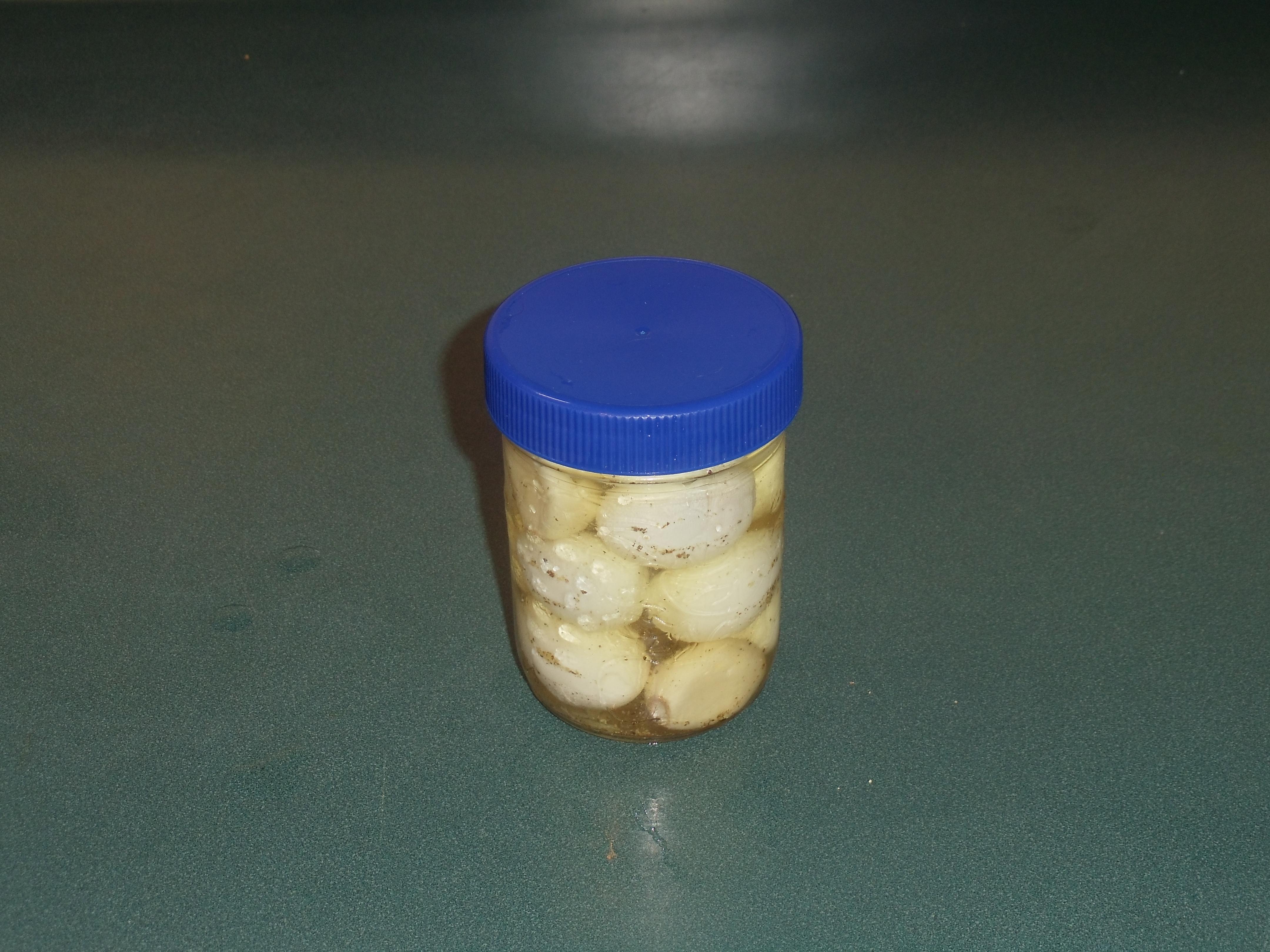 Pickled Quail Eggs 16.JPG