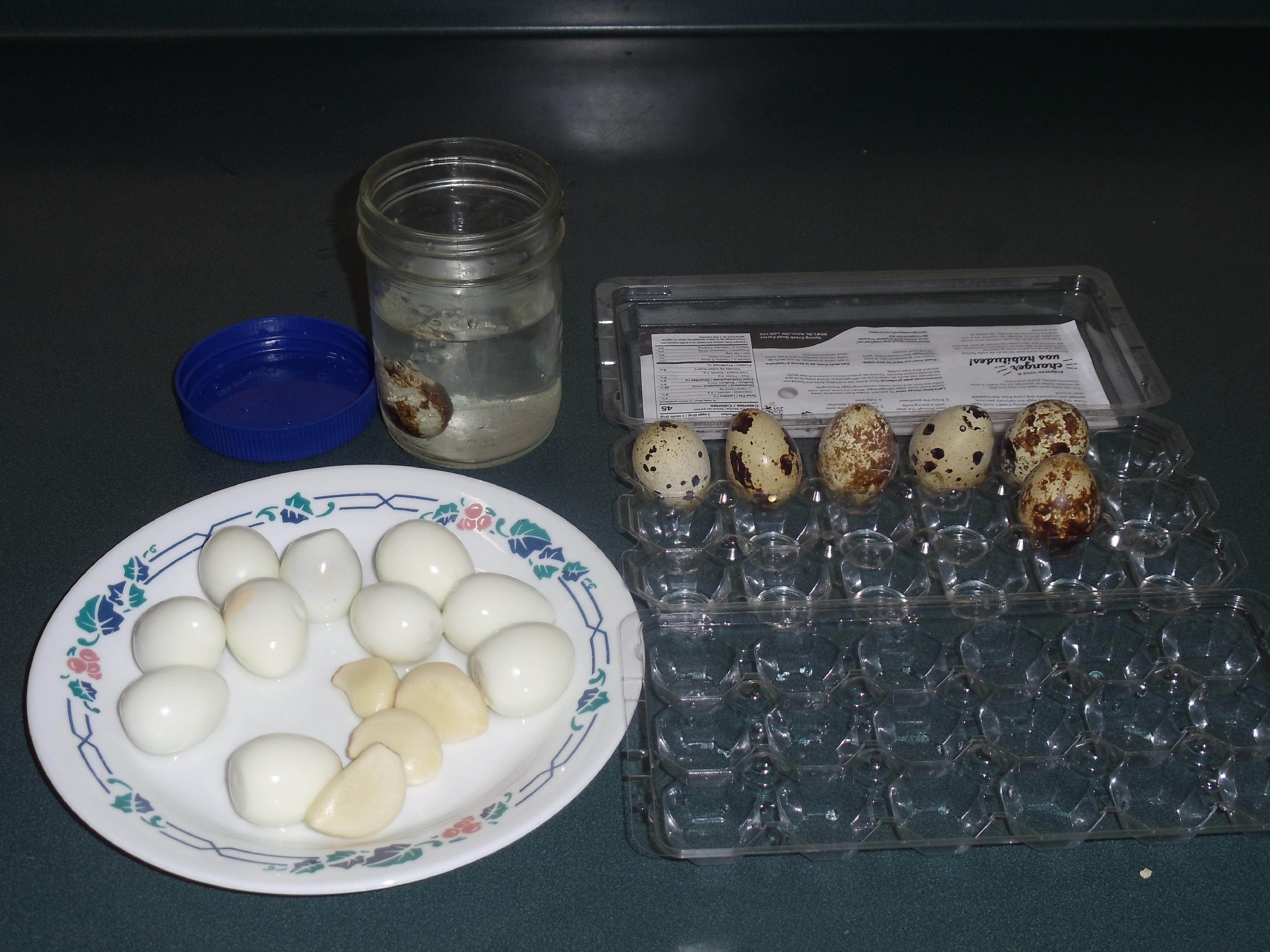 Pickled Quail Eggs 6.JPG