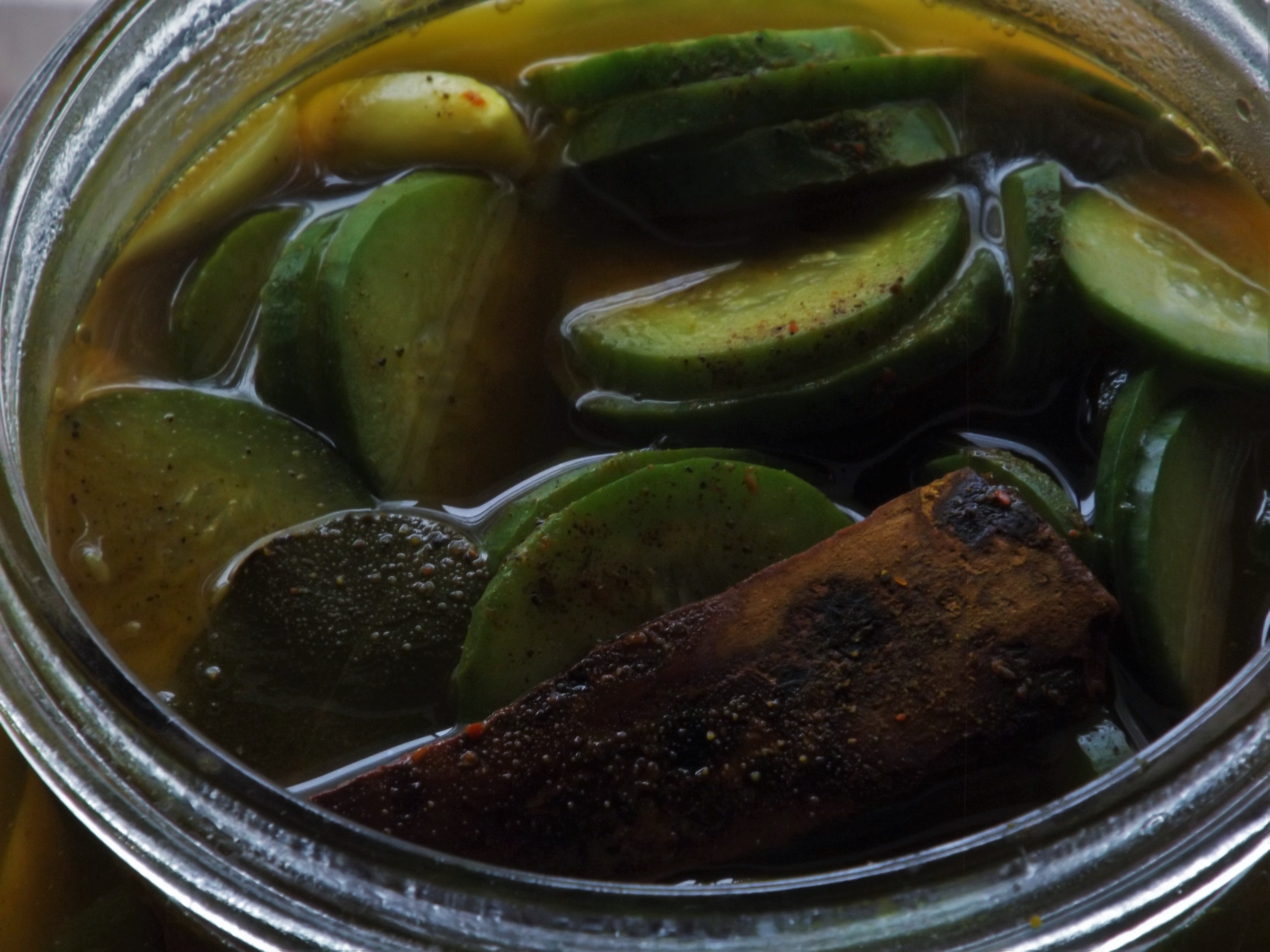 Pickles 5.4.JPG