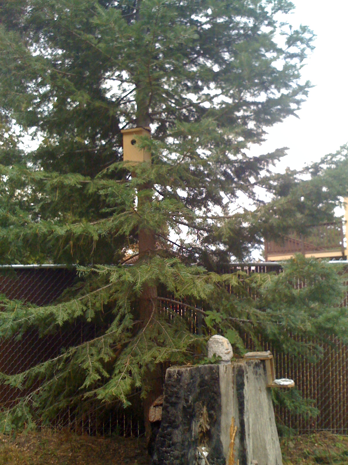 Picture 005.jpg