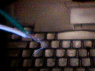 Picture 007.jpg