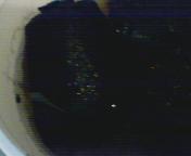 Picture 012.jpg