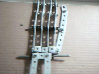 Picture 11.jpg