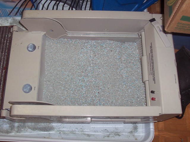 Picture 368.jpg