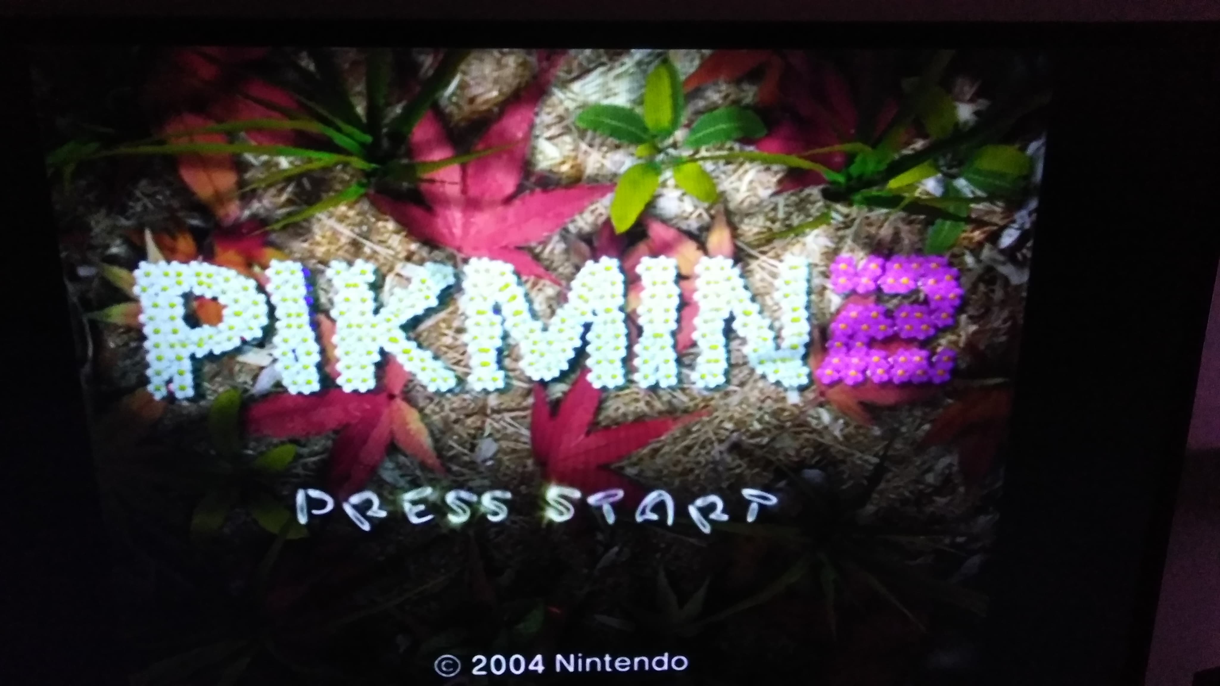 Pikmin 2.jpg