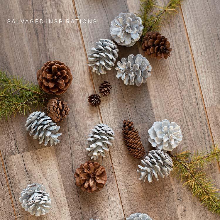 Pinecones-Bleached-DIY-IG.jpg