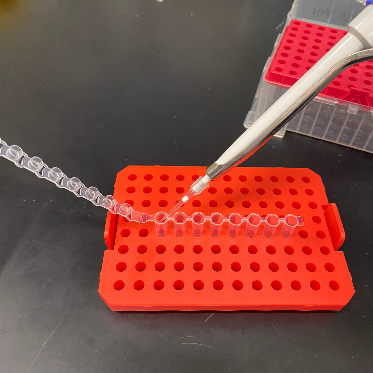 Pipetting.png