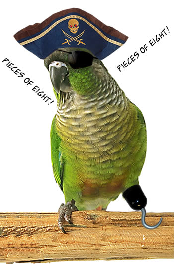 PirateParrot.jpg