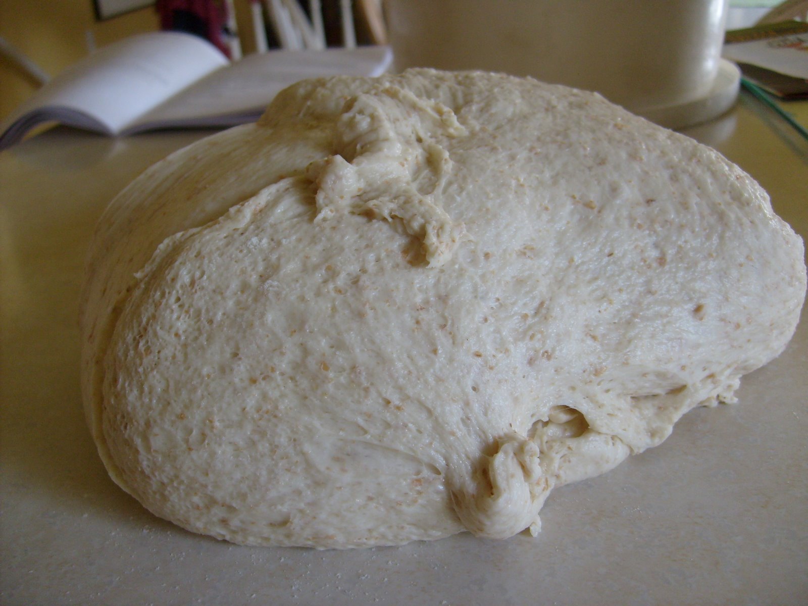 Pizza Dough.JPG