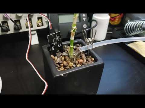 Plant Kit Project Video