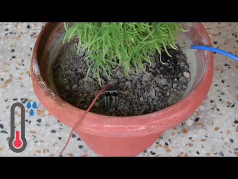 Plant Monitoring and Watering with evive