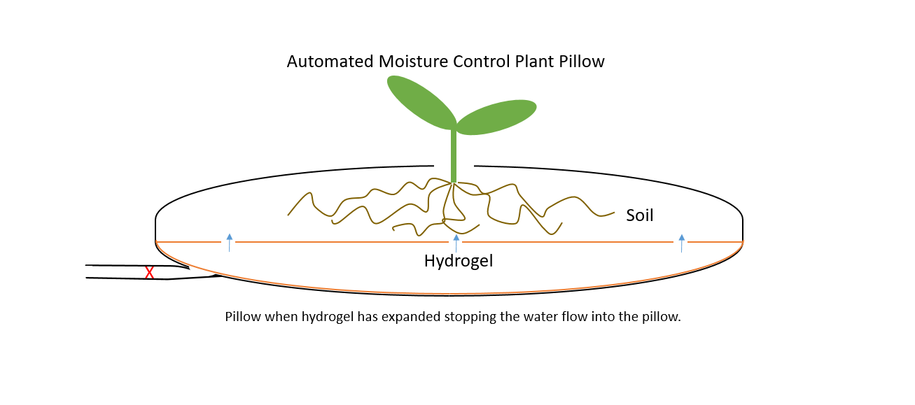 Plant Pillow 1.PNG