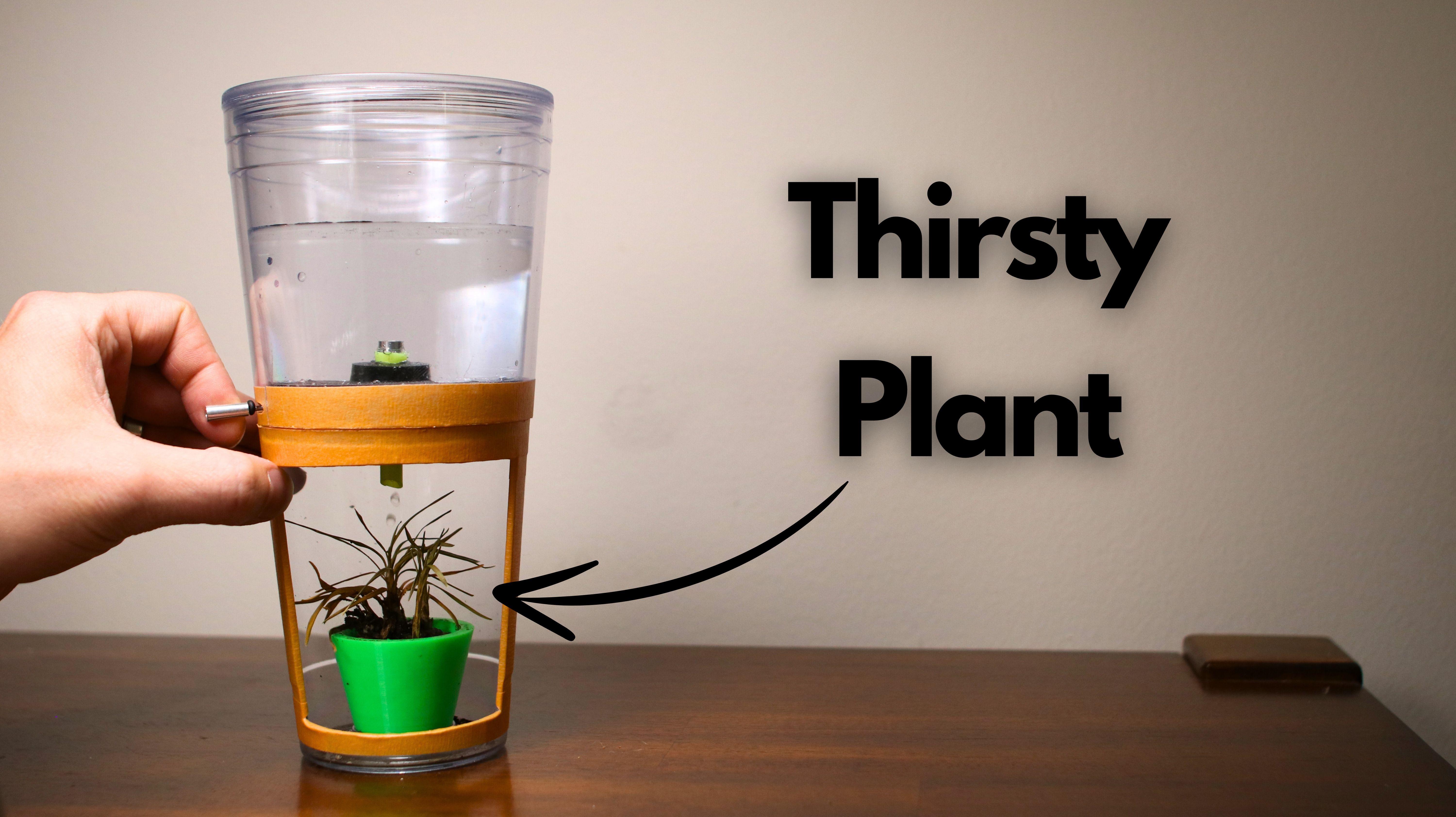 Plant Watering Cup 2.jpg