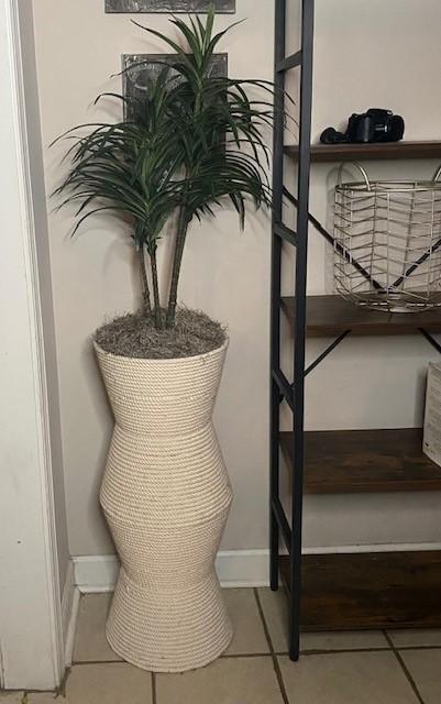 Plant in Basket.jpg