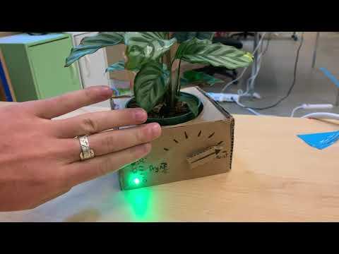 Plant monitoring project