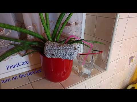 PlantCare Best DIY present for mothers