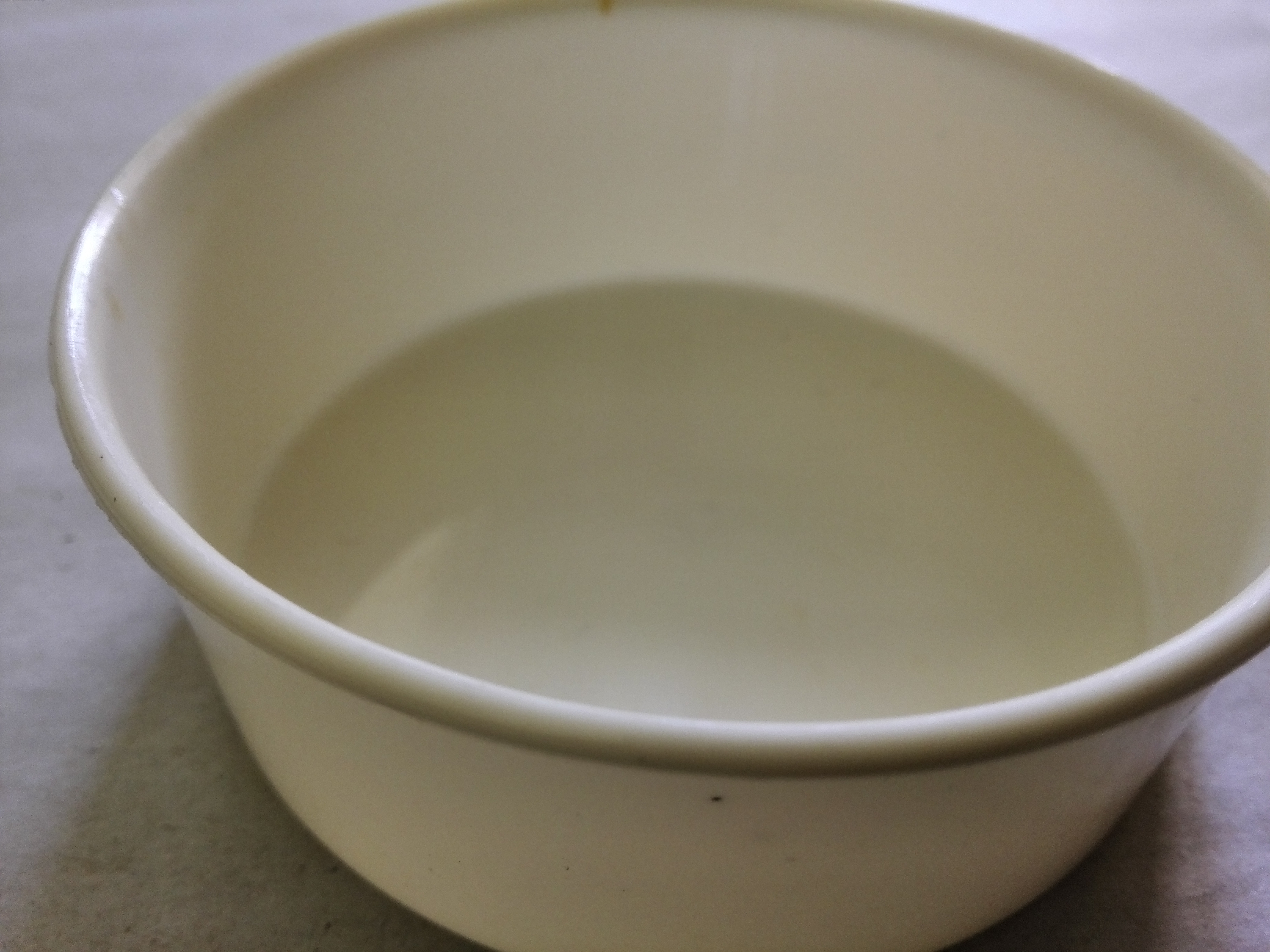 Plastic Bowl.jpg